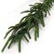 6' Real Touch Norfolk Garland | Lifelike Evergreen Christmas Garland for Mantles, Doorways & Stair Railings | Perfect Holiday & Winter Decor | Durable & Reusable Indoor/Outdoor Greenery - 2024 Christmas Collection, Floral Home by Artificial Flowers
